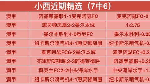 2025年1月26日篮球用品品牌排行：篮球品牌前茅排名公布